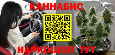 сатива Абинск