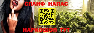 сатива Абинск